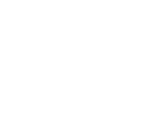 Logo ProForce